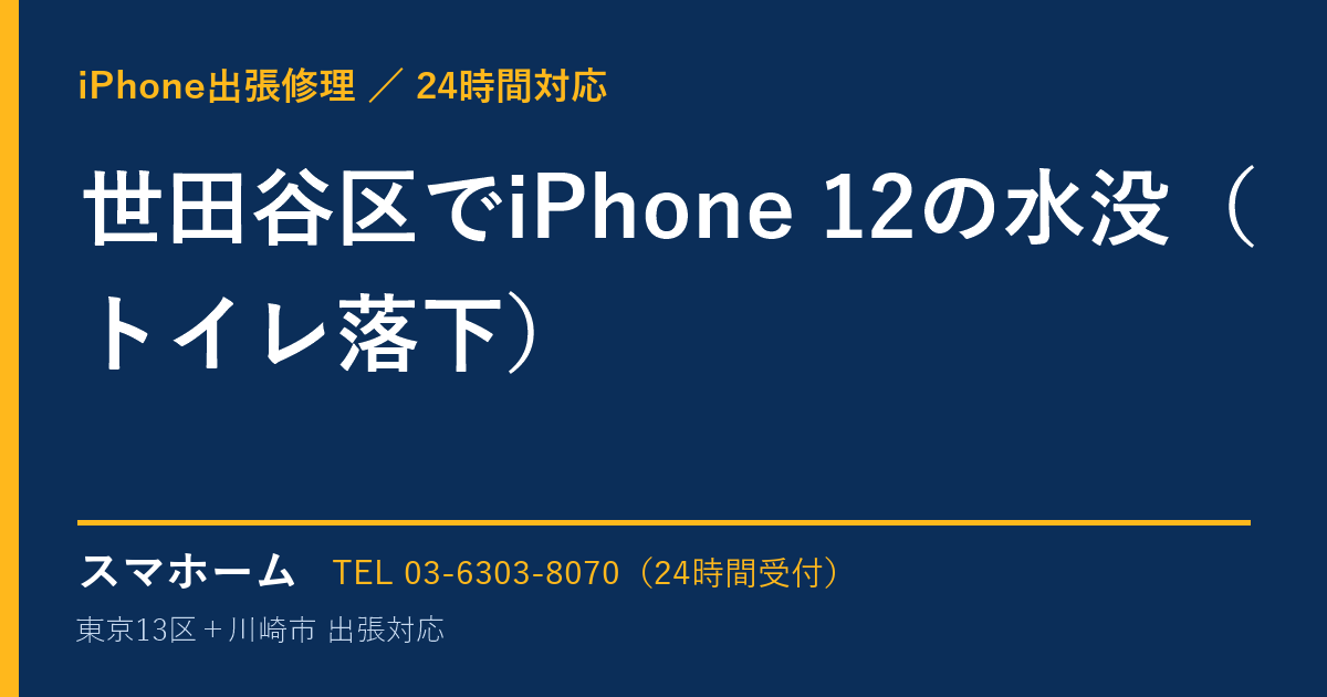 世田谷区でiPhone 12の水没（トイレ落下）｜iPhone出張修理スマホームの修理事例