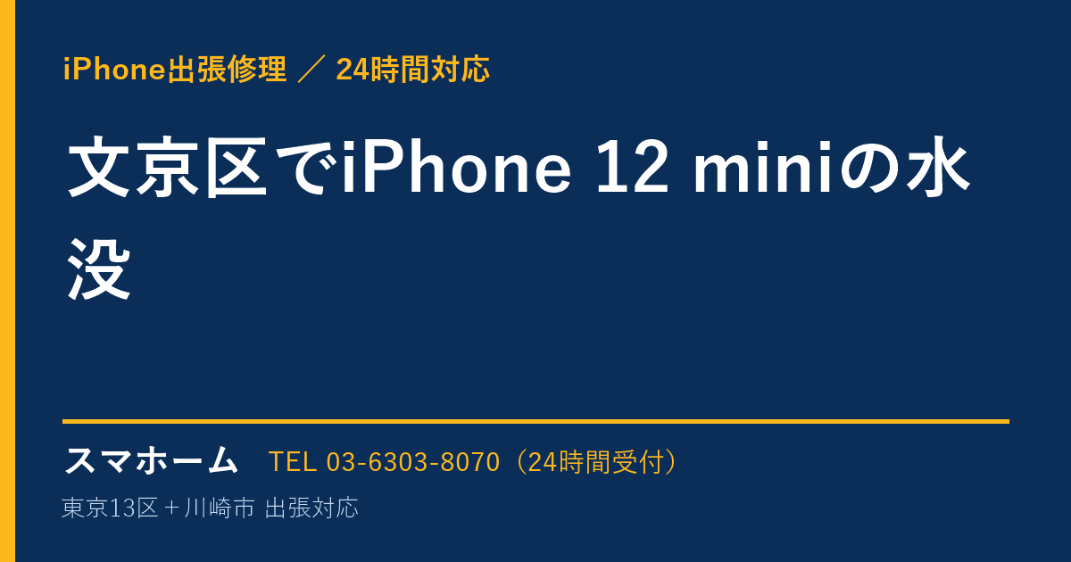 文京区でiPhone 12 miniの水没｜iPhone出張修理スマホームの修理事例